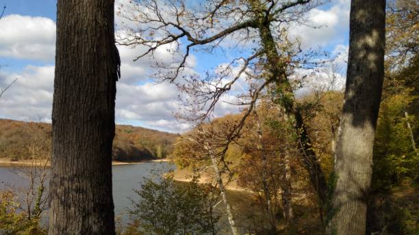 istock magnificent view from the forest in autumn 1287901021