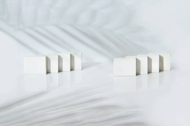 Eight small cardboard boxes with no logo isolated on white studio background. Palm tree twig shadow. Copy space, branding area