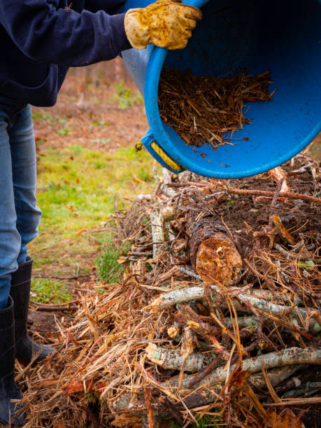 istock Person adding woodchips and mulch while buliding a Hugelkultur no-dig raised bed 1287907115