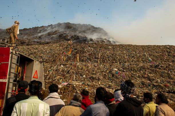 pożar na składowisku ghazipur - zanieczyszczenie powietrza - pożar śmieci - troska o środowisko - landfill garbage dump garbage bird zdjęcia i obrazy z banku zdjęć