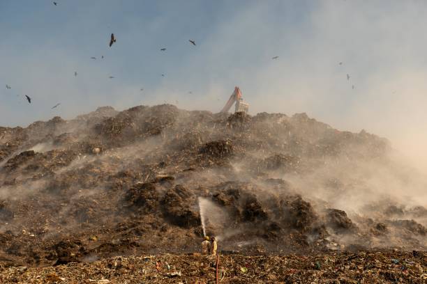 pożar na składowisku ghazipur - zanieczyszczenie powietrza - pożar śmieci - troska o środowisko - landfill garbage dump garbage bird zdjęcia i obrazy z banku zdjęć