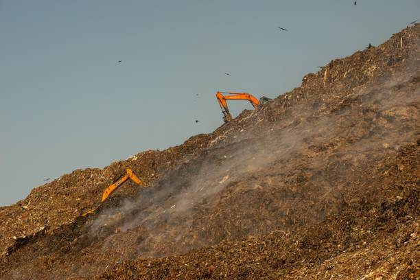 pożar na składowisku ghazipur - zanieczyszczenie powietrza - pożar śmieci - troska o środowisko - landfill garbage dump garbage bird zdjęcia i obrazy z banku zdjęć