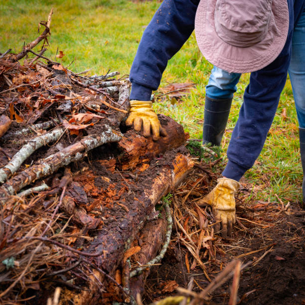 istock Person adding shredded cedar woodchips to a Hugelkultur no-dig raised bed 1287907668