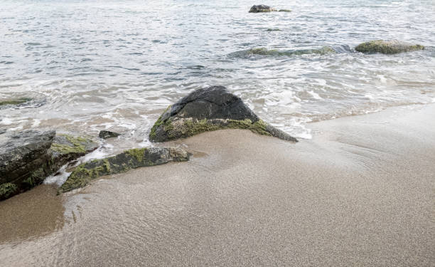 istock Beach on the sea with waves and stones in water 1287910948