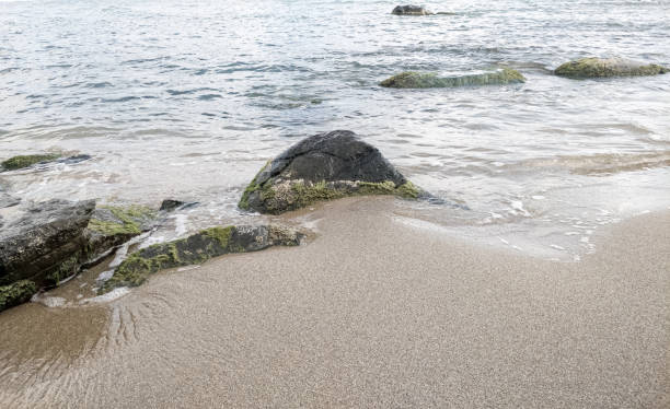 istock Beach on the sea with waves and stones in water 1287910951