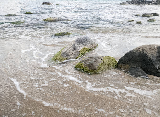 istock Beach on the sea with waves and stones in water 1287910976