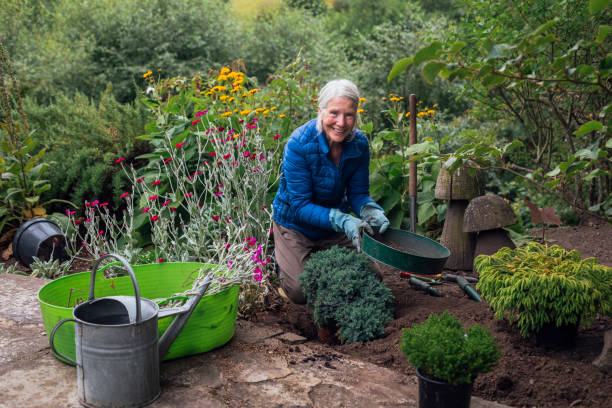 planting my new tree - planting clothing gray hair human age fotografías e imágenes de stock