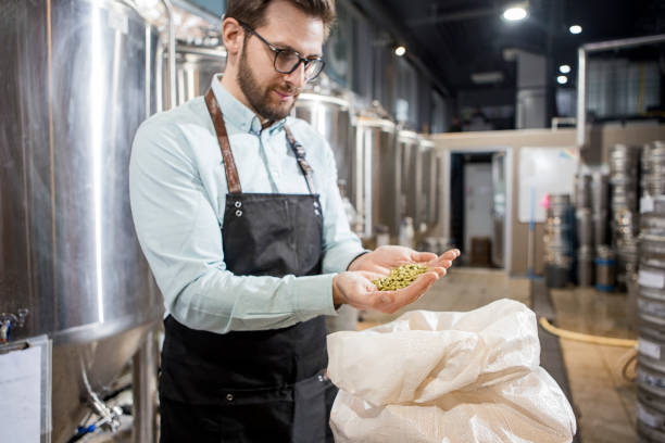 młodzi mężczyźni są w browarze rzemieślniczym z torbą jęczmienia - brewery beer barley cereal plant zdjęcia i obrazy z banku zdjęć