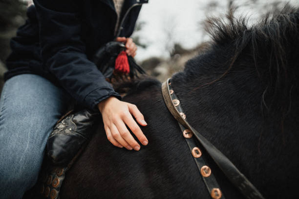 istock Woman stroking a horse 1287912131