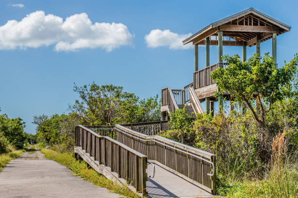 istock Ten Thousand Islands Lookout Tower 1287912730