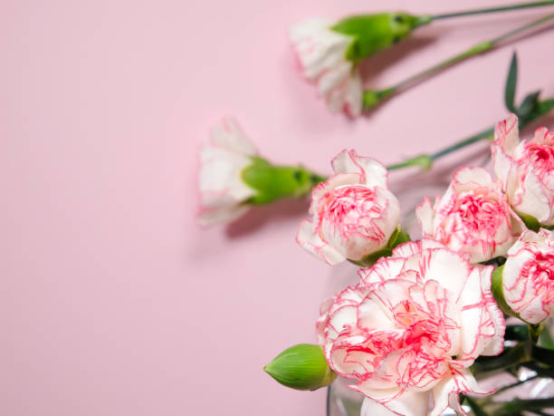 istock Mini carnation flowers in a vase on pink background 1287913748