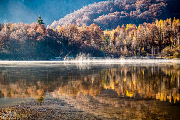 istock Poiana Marului lake, Romania 1287914524