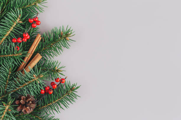 istock Christmas background with spruce branches, red berries, cones and cinnamon sticks. Holiday eco-friendly concept. 1287918215