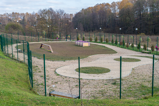 Playground for dogs, empty green grass sand fenced in a fence in autumn fun