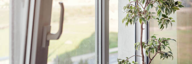 istock green houseplant on window sill with white opened plastic frame 1287919712