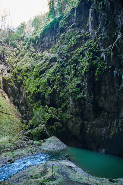 istock Inside of Macocha Abyss, Czech republic 1287923310