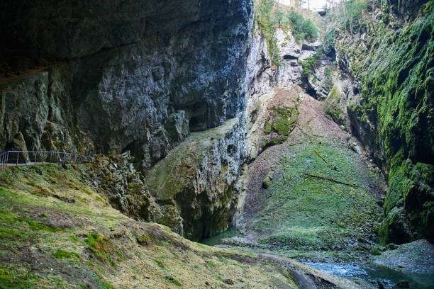 istock Inside of Macocha Abyss, Czech republic 1287923324
