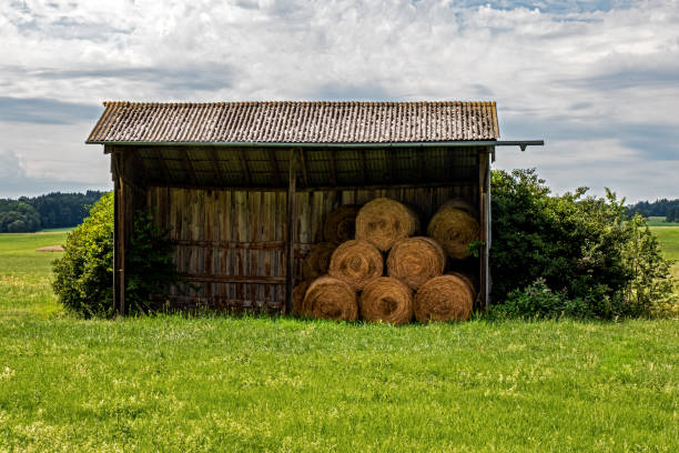 istock wooden hut to protect straw from rain 1287931169