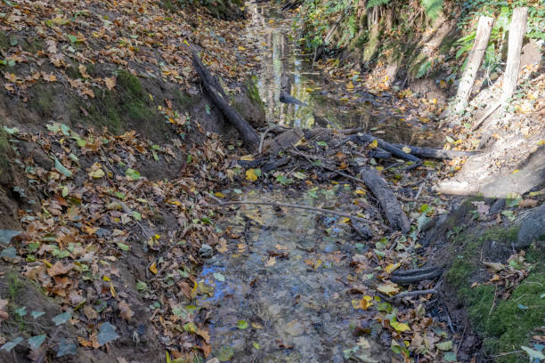 istock Small logs interrupting the flow of water in a muddy stream, reflection of sunlight on the water surface 1287933743