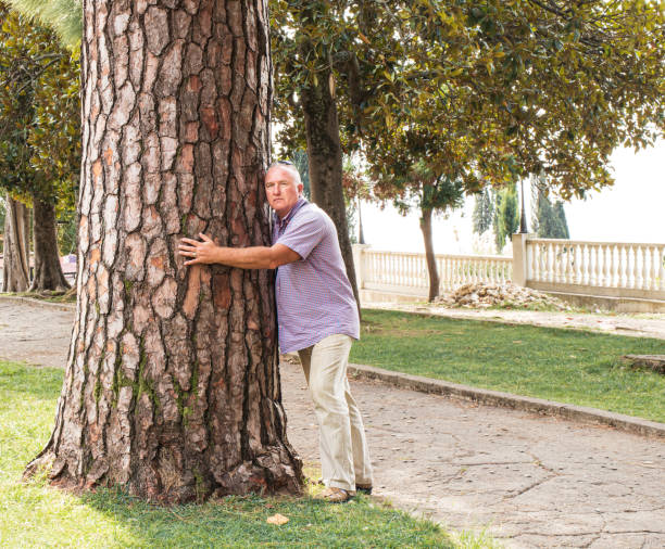 istock A man hugs a huge tree trunk in the park with his hands. Caring for nature 1287939001