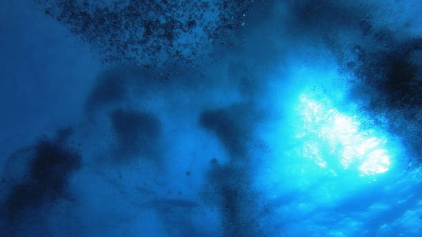 istock Bubbles of Scuba divers 1287940296