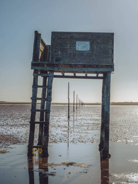 istock Pilgrim's Way Causeway, Lindisfarne, UK 1287941946