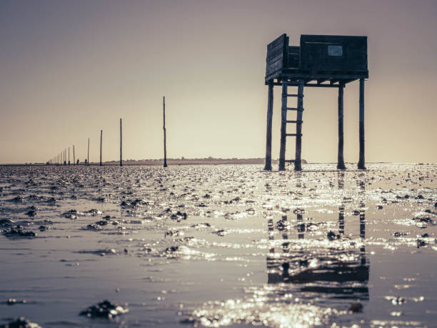istock Pilgrim's Way Causeway, Lindisfarne, UK 1287941993