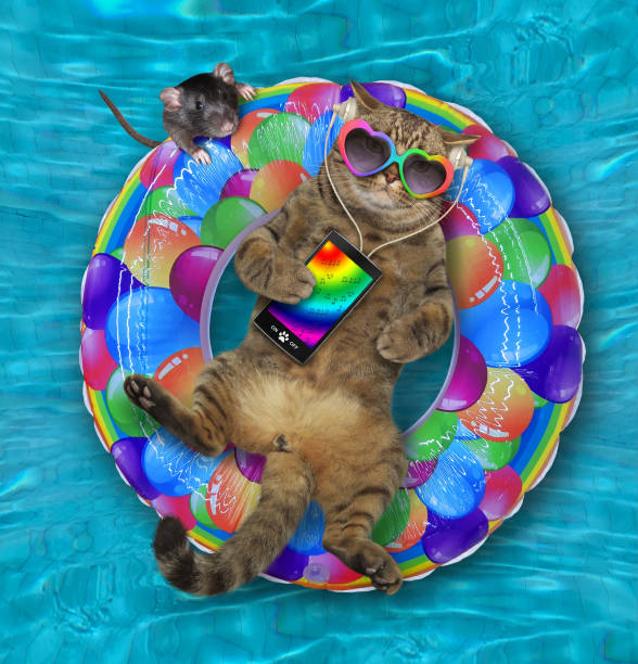 istock Cat on ring listens to music in pool 1287946536