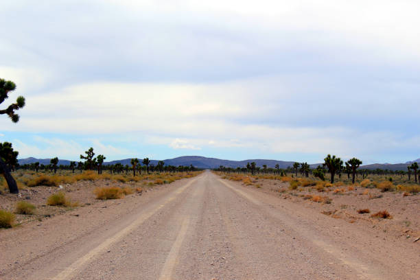 istock Road to infinity in desert 1287949345
