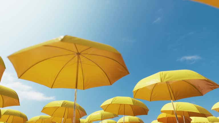 Yellow beach umbrellas on a background of blue sky