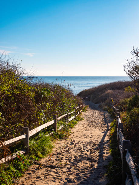 istock Beach Entrance with Wooden Railing on Cape Cod Shoreline 1287971253