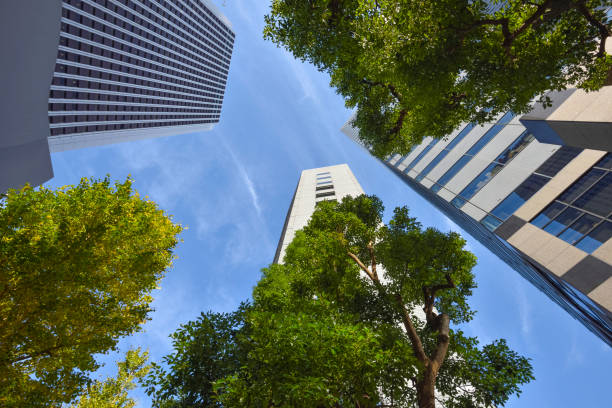istock Skyscrapers and trees on a sunny day 1287972798