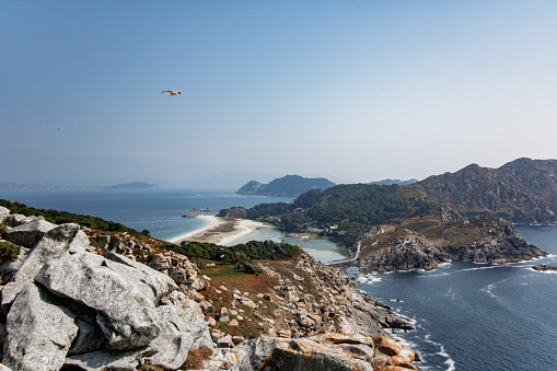 Panoramic view of the paradise Cies Island during summer time. No clouds but one bird in this natural park