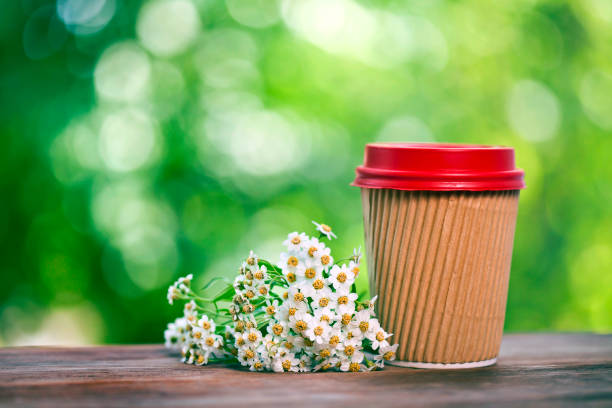 istock Paper cup with achillea salicifolia flower 1287995955