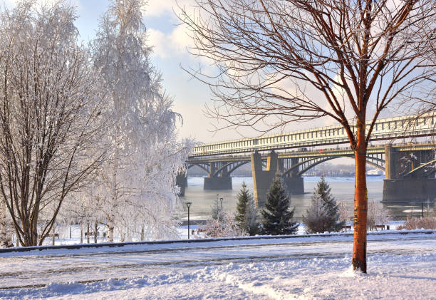 Metro bridge across the Ob river, trees in the snow, covered with frost