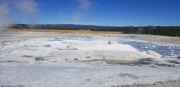 This geyser is in the Lower Geyser Basin