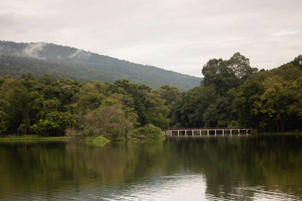 istock Lake view side relaxing in nature 1288013406
