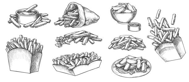 French fries hand drawn sketch isolated on white background Potato french fries street fastfood menu hand drawn sketch. Crispy chip food in paper box or craft paper cone, on plate, in dip bowl, dipped in sauce vector illustration isolated on white background french fries stock illustrations