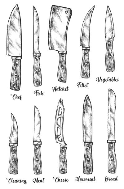 부엌 날카로운 칼 도구 유형 고립 된 스케치 세트 - knife table knife kitchen knife penknife stock illustrations