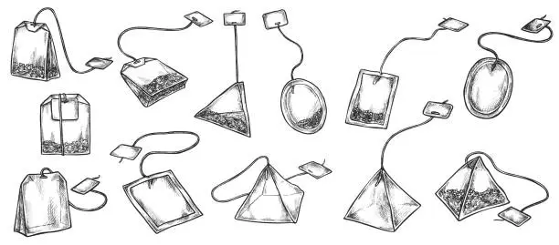 Vector illustration of Tea beverage bag with label isolated sketch set