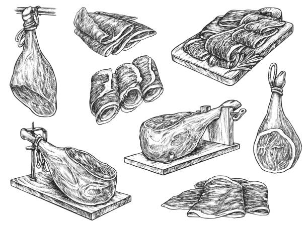 Spanish jamon leg on stand and ham meat slices Spanish jamon leg on stand and ham meat slices isolated sketch. Pork meat snack with jamon, prosciutto, bacon roll and strips on vintage engraving vector illustration prosciutto stock illustrations