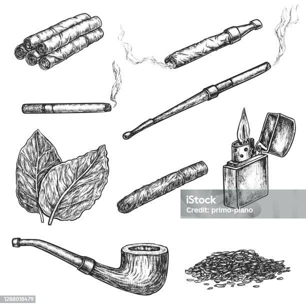 喫煙とチューインタバコ製品スケッチセット - タバコのベクターアート素材や画像を多数ご用意 - タバコ, 煙草製品, タバコを吸う