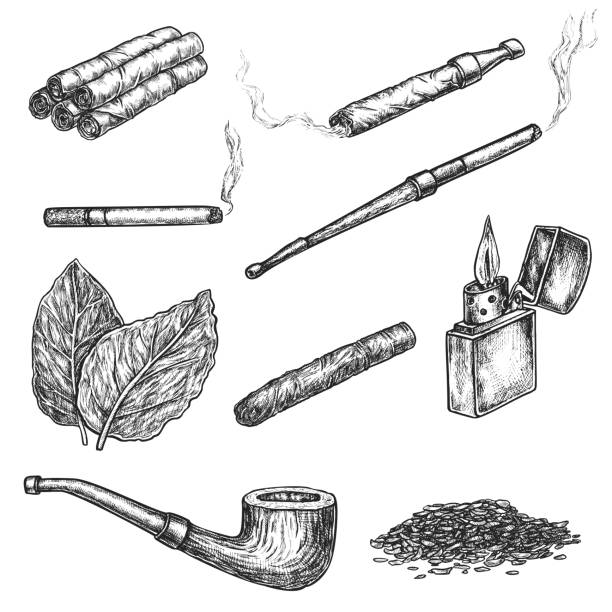 흡연 및 츄잉 담배 제품 스케치 세트 - smoking issues illustrations stock illustrations