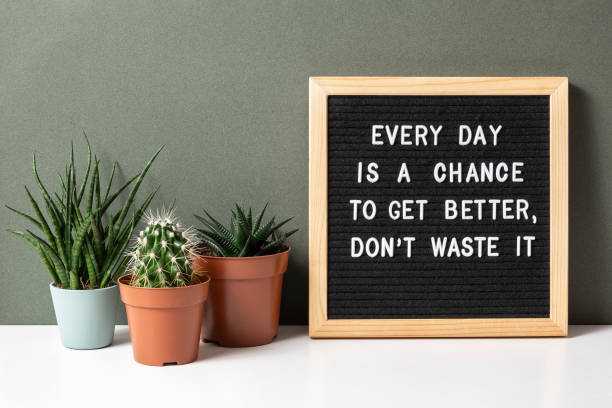 istock Every day is a chance to get better, don't waste it. Motivational quote on letter board, cactus, succulent flower on white table. Concept inspirational quote of the day. Front view 1288024215