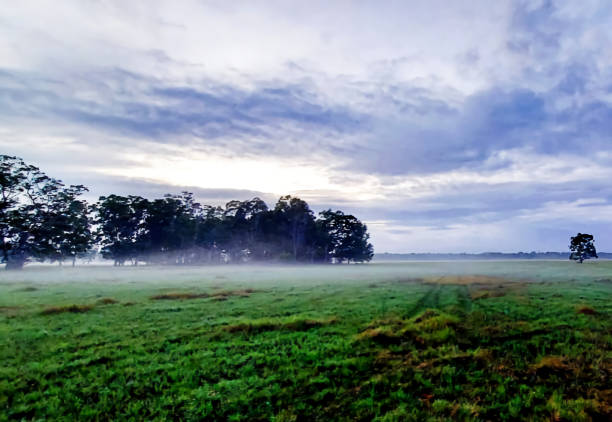 morning nature village korkari in merauke, papua