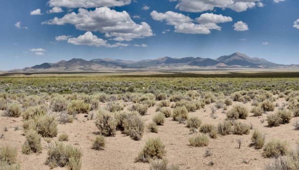 valle del deserto e montagne - nevada usa desert arid climate foto e immagini stock