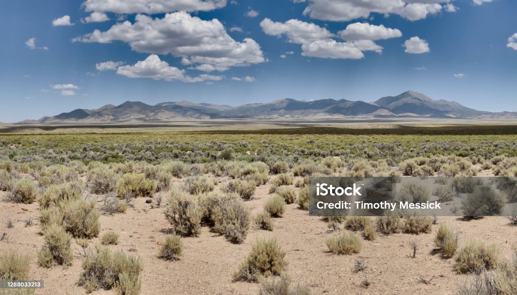 Desert valley and mountains Fletcher Valley and the Wassuk Range in Mineral County, Nevada. Sagebrush scrub vegetation. Desert Area Stock Photo