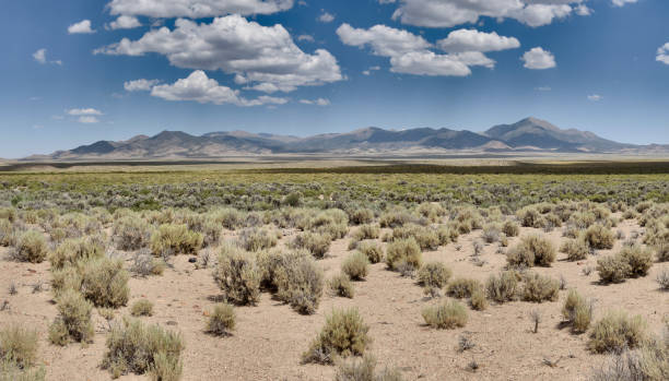 Desert valley and mountains Fletcher Valley and the Wassuk Range in Mineral County, Nevada. Sagebrush scrub vegetation. nevada photos stock pictures, royalty-free photos & images