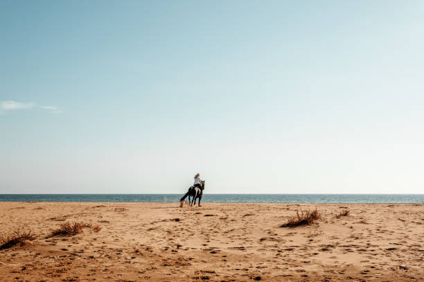 Young beautiful woman ride on sand beach. Horse with rider run along sea surf by water pool. Horseback walking tours, outdoor recreational sport, adventure activity on family summer vacation with kids