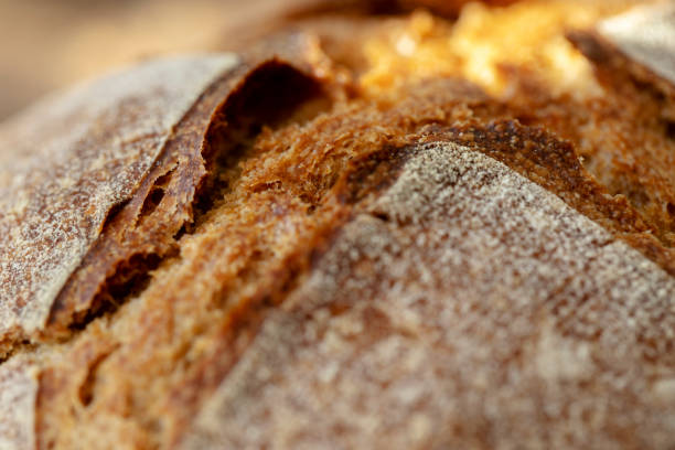 Hands holding bread. Black and white.